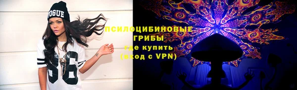 дмт Арсеньев