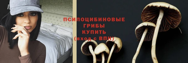 дмт Арсеньев
