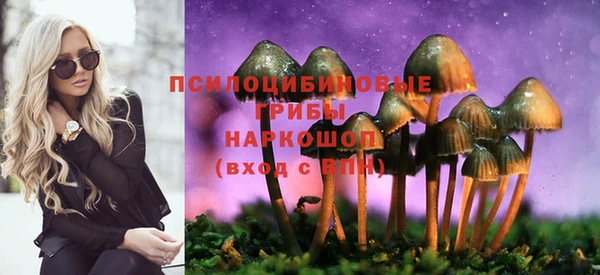 гидропоника Алзамай
