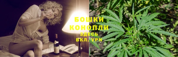 дмт Арсеньев