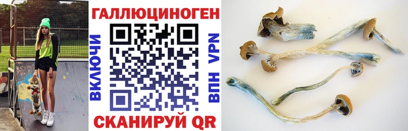 Псилоцибиновые грибы Psilocybine cubensis  где купить наркотик  Волгодонск 
